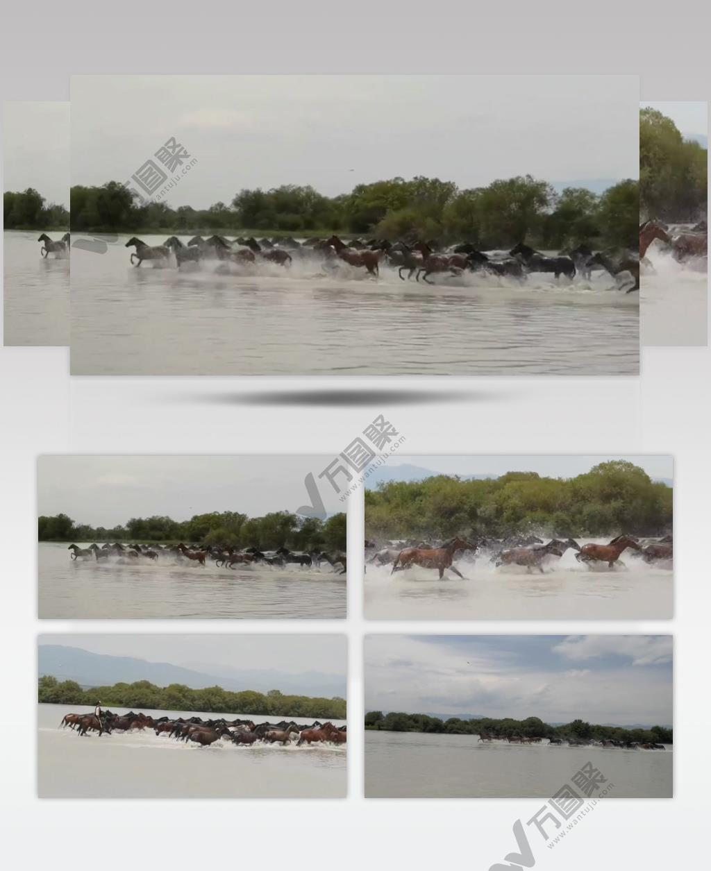 在河流当中万马奔腾壮观景色