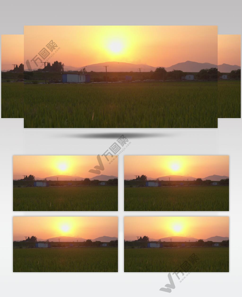 农村傍晚黄昏夕阳下的田野