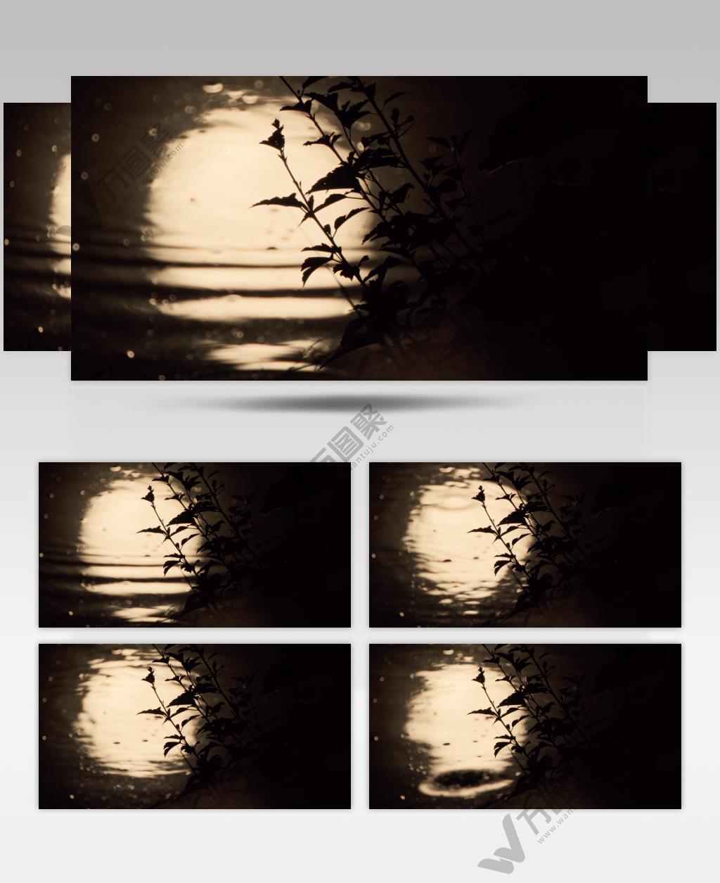 夜晚水中月倒影月亮月球唯美