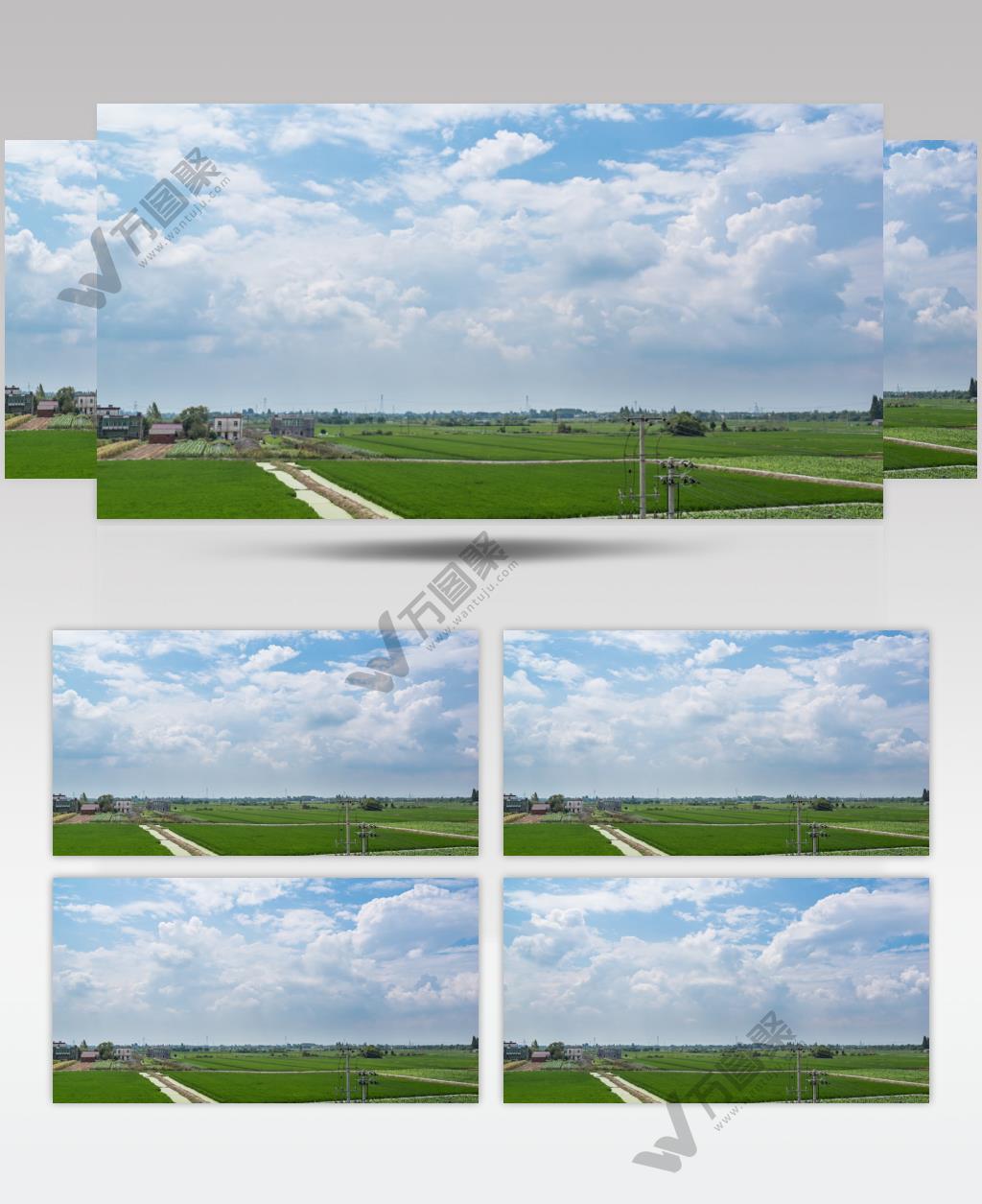 农村庄乡村子稻田野蓝天白云