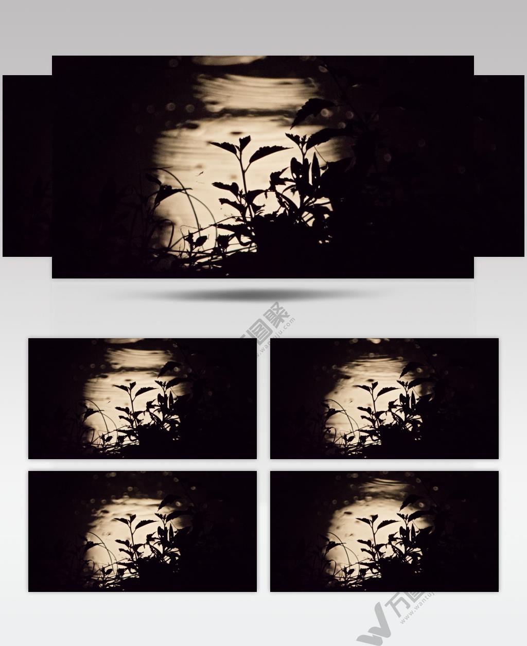 夜晚水中月亮月球倒影剪影蛙鸣