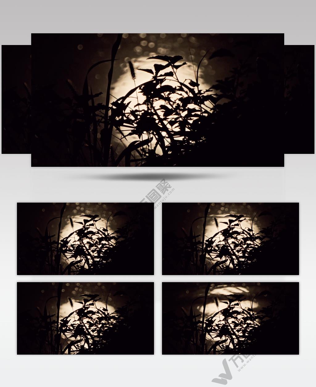 夜晚水面月亮倒影水中月唯美