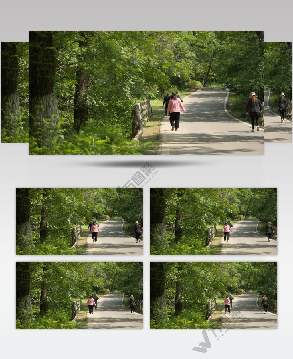 春天太湖山森林太湖寺爬山的人