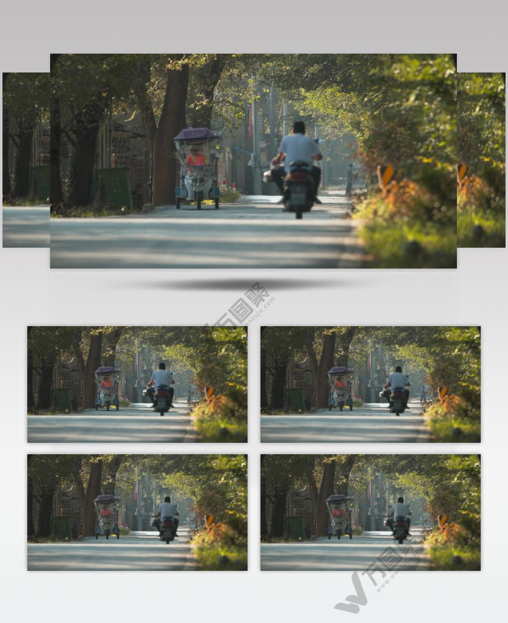 秋天农村林荫小路唯美安静