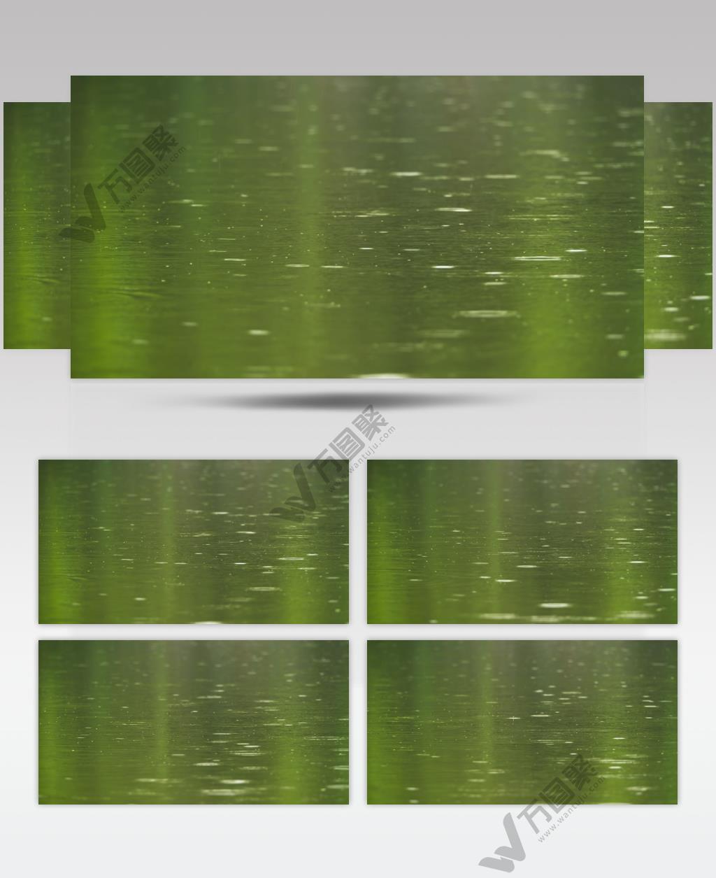 下雨公园碧绿的池塘水滴涟漪