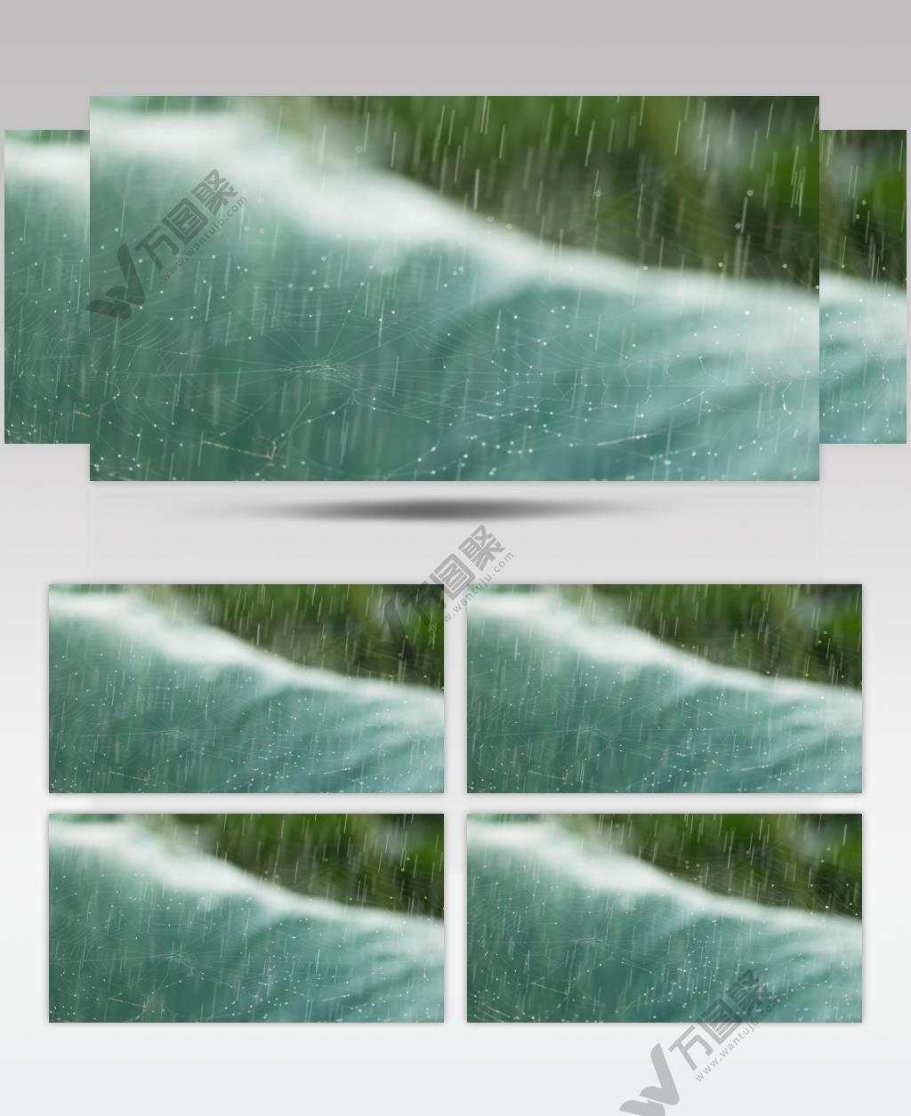 阴天下雨水滴露珠蜘蛛网特写