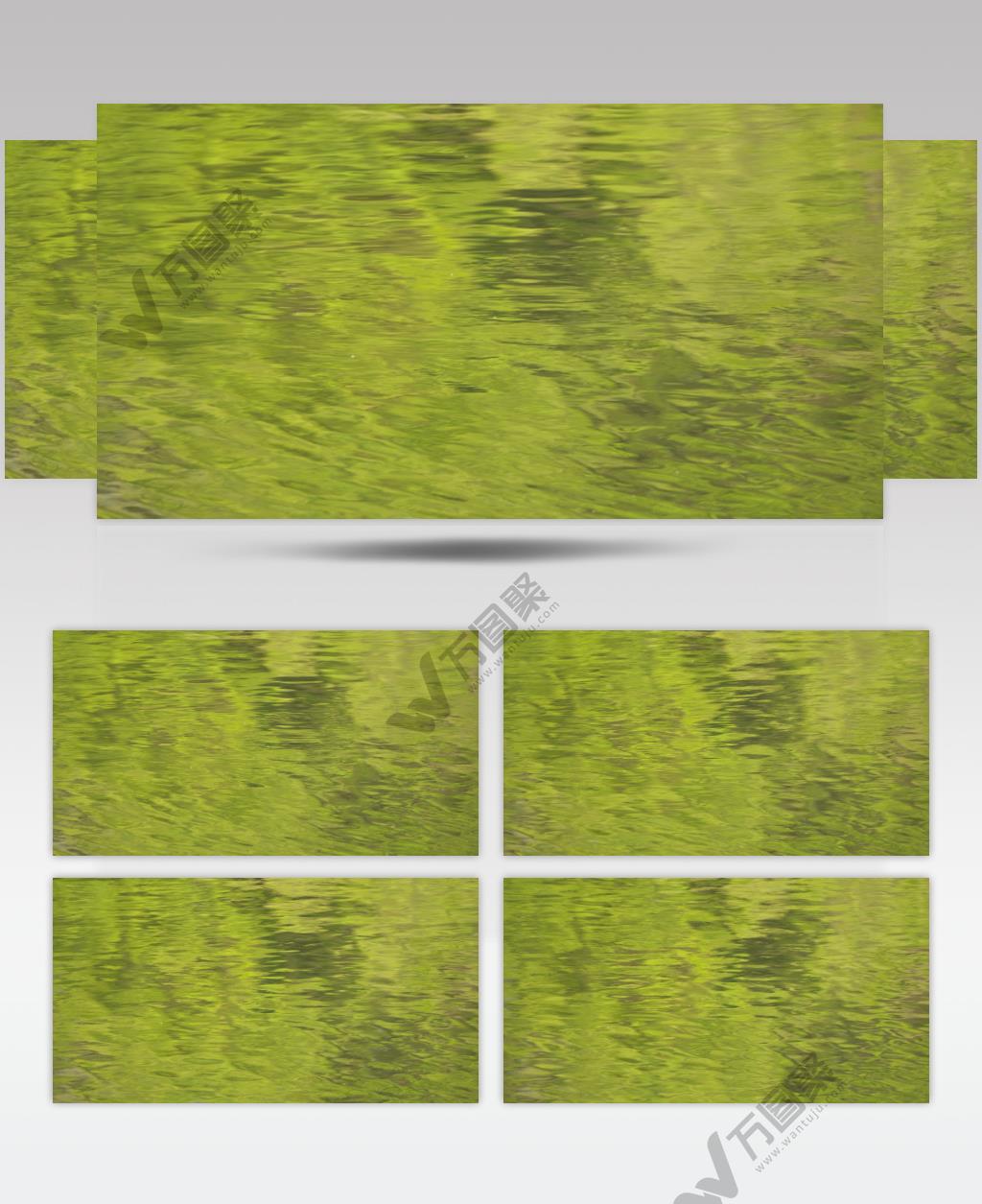 春天绿油油碧绿的小溪池塘