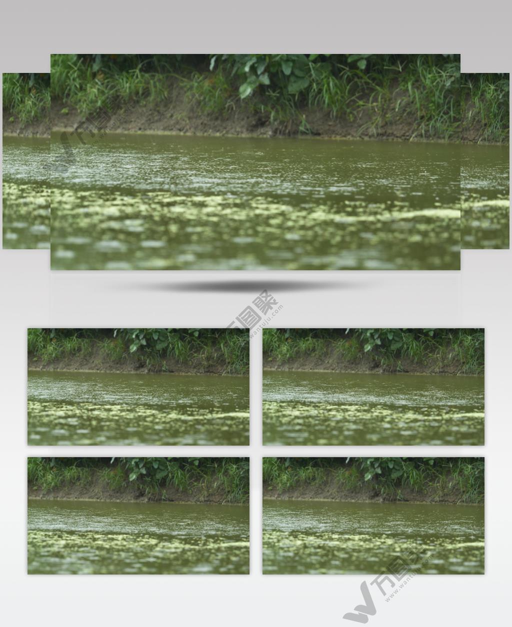 农村小河阴天下雨水滴涟漪