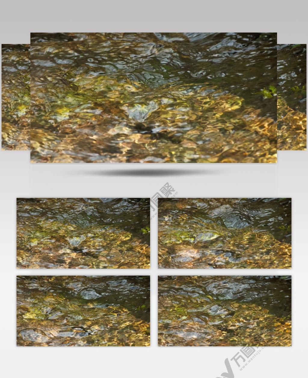 夏天山谷中森林里泉水小溪