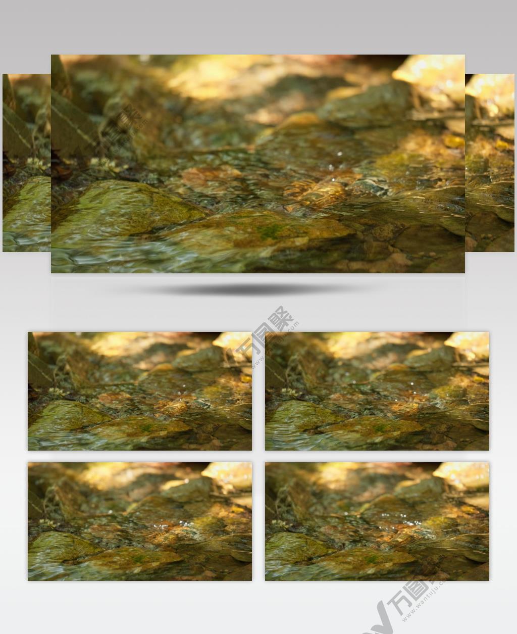 春天山泉水小溪流升格慢镜头