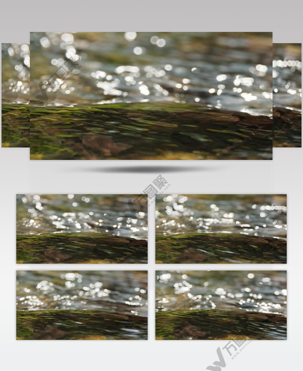 春天清澈山泉水小溪碧绿潺潺