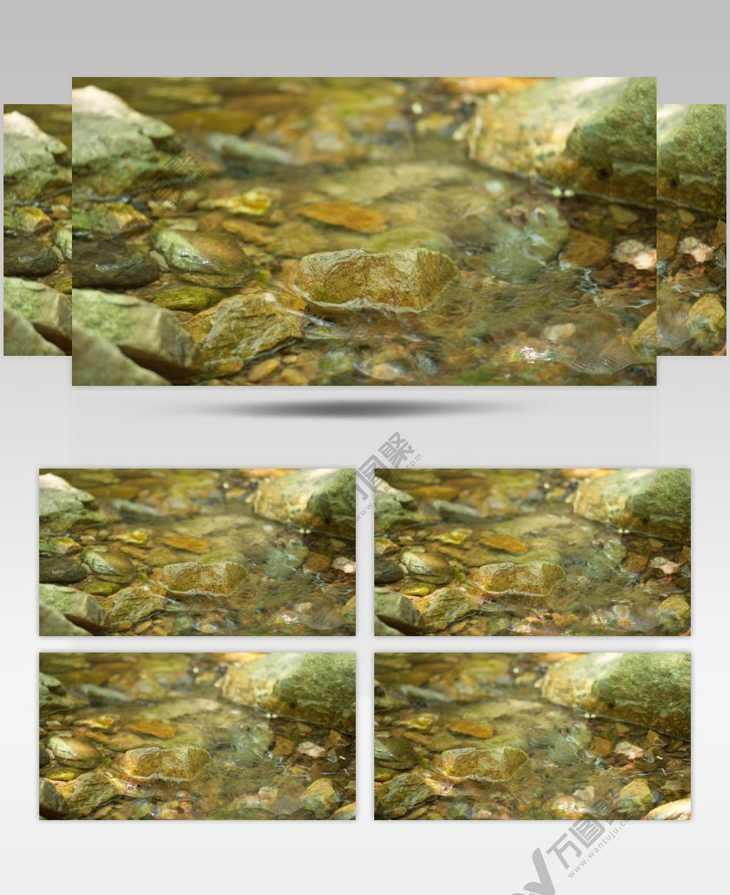 春天山涧湍急清澈小溪流泉水