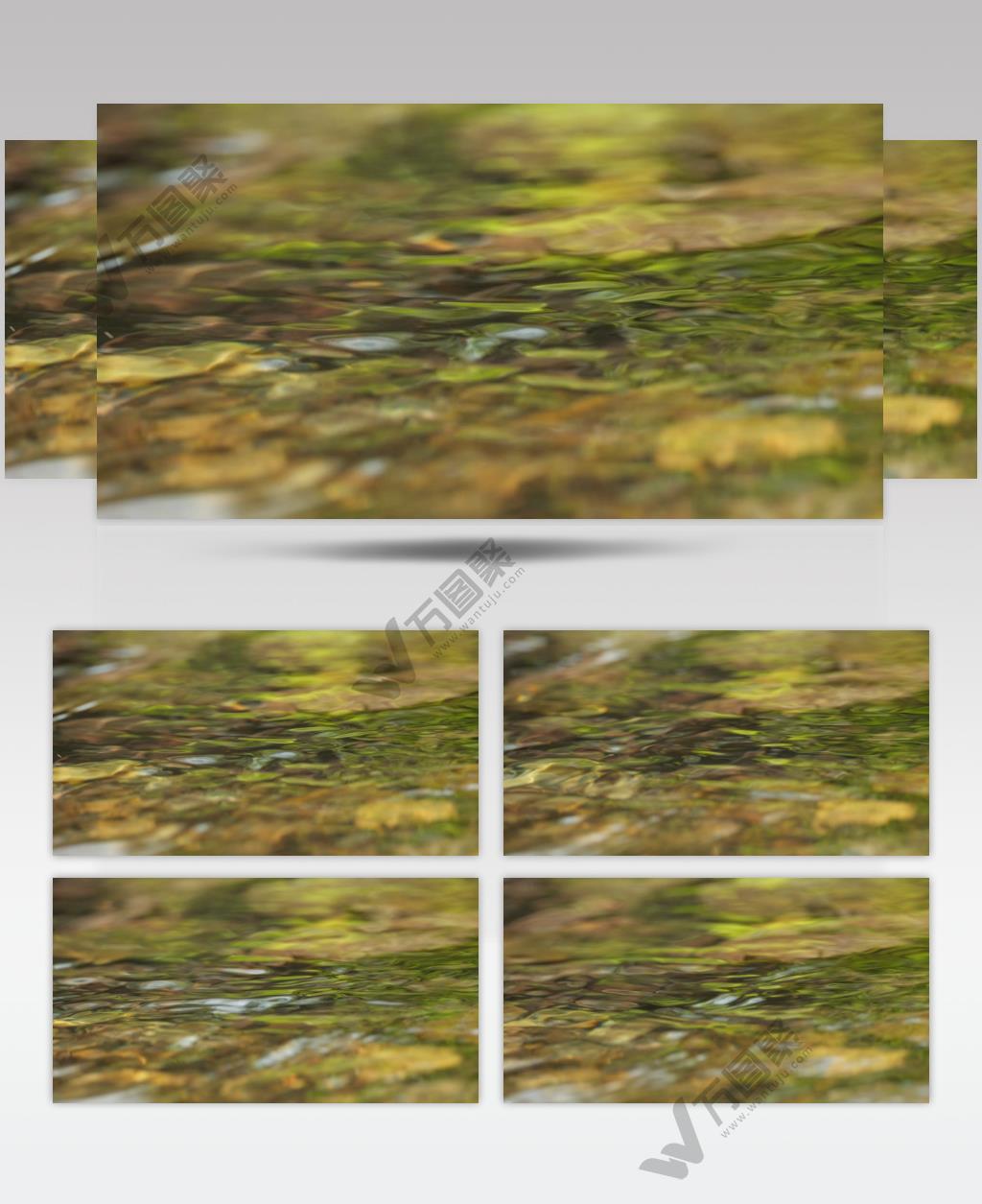 春天碧绿清澈山泉水湍急溪流