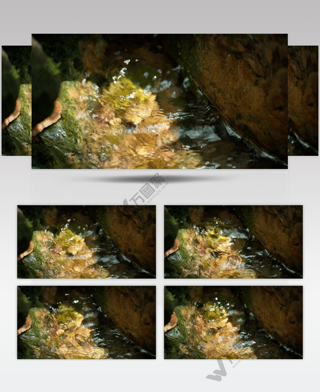 夏天清河湍急山泉水小溪青苔藓