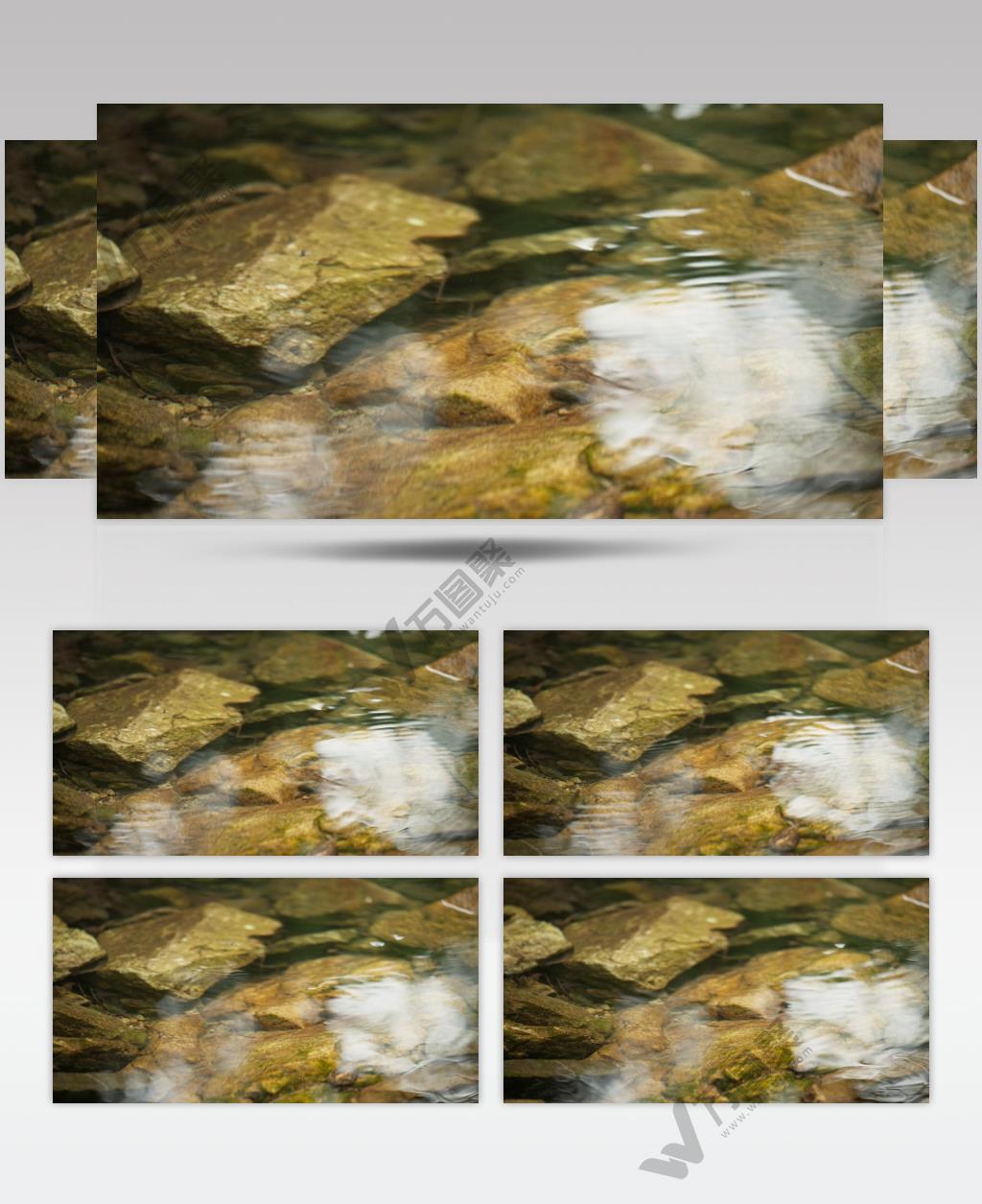 秋天清晨森林泉水清澈小溪