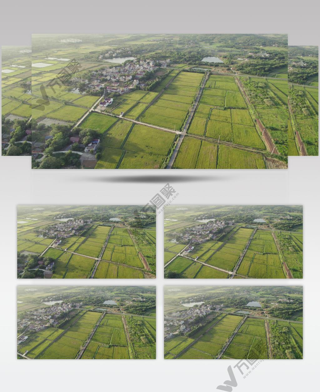 航拍农村沥青柏油路水稻田野