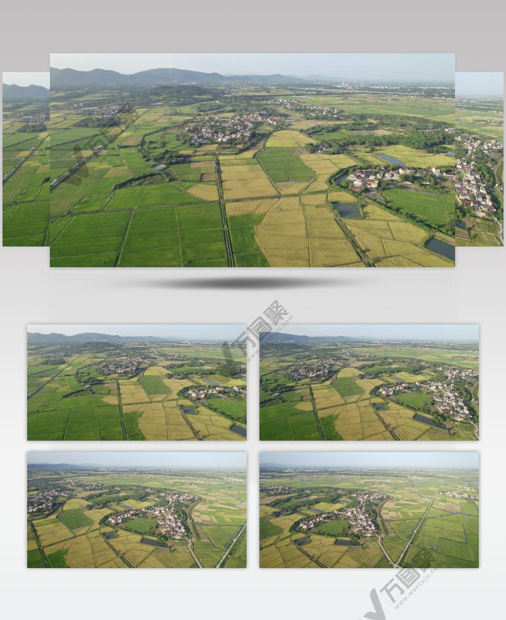 秋天安徽平原丘陵农村田野航拍