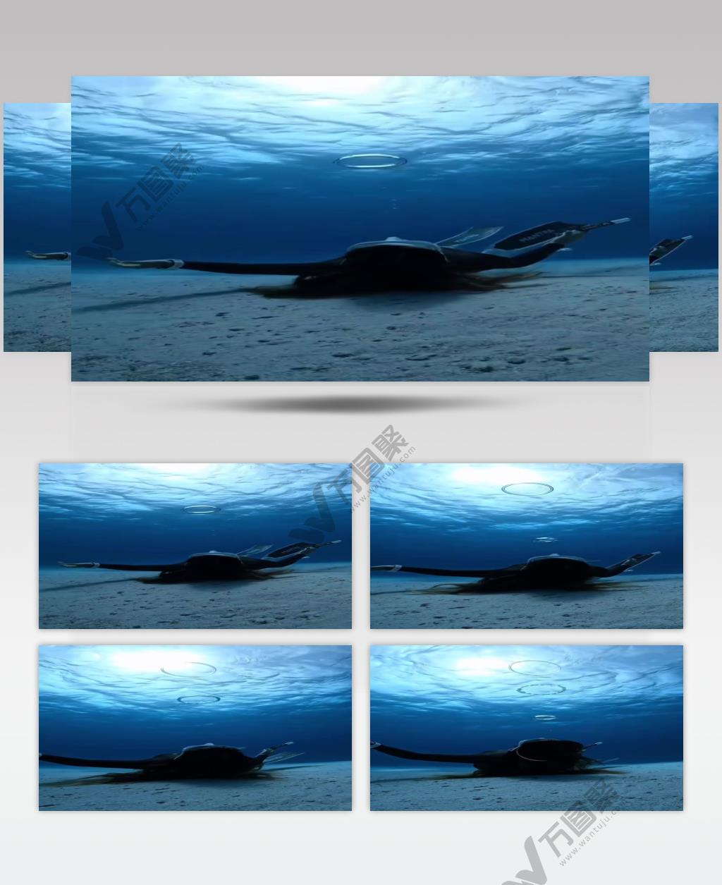 实拍水中潜水特技视频素材