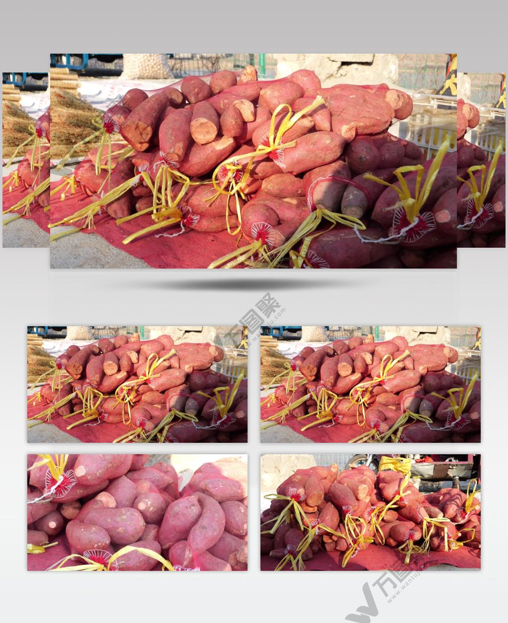 地瓜 芋头 大集 卖地瓜 袋装地瓜 黄壤地瓜 红薯 黄心番薯 黄心红薯 蜜薯 沙地蜜薯