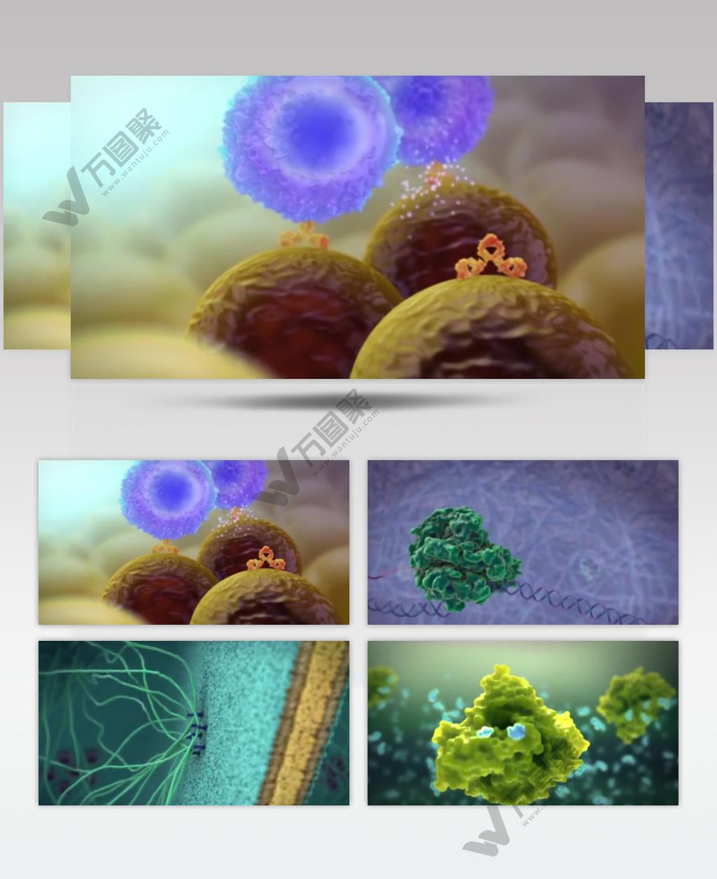三维细胞分子结构微生物微观模型动画病毒