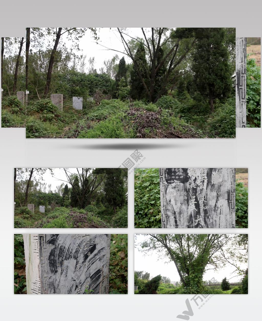 石碑 农村墓地 田地 小草 4K 超清 视频