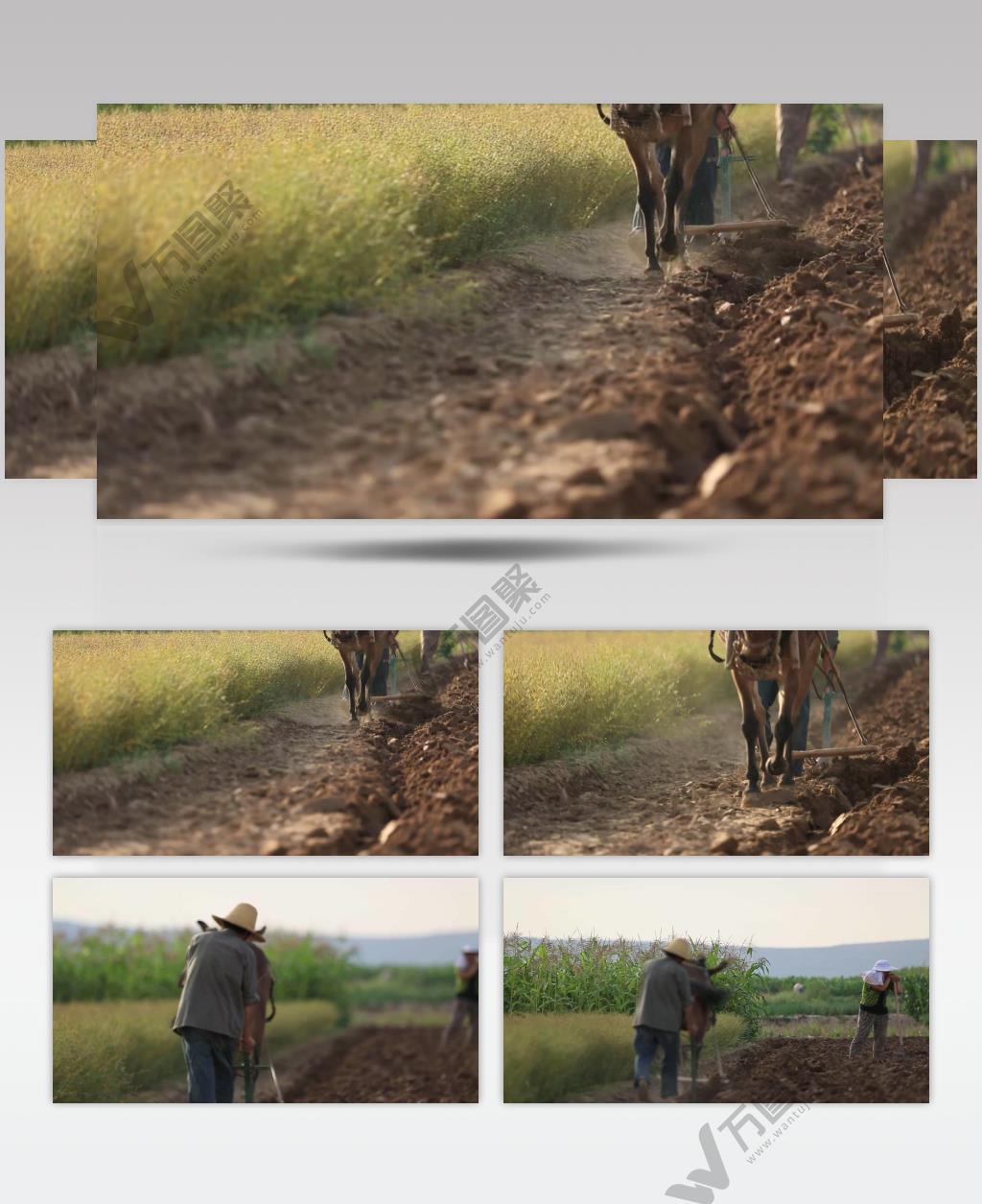 农田耕地特写视频