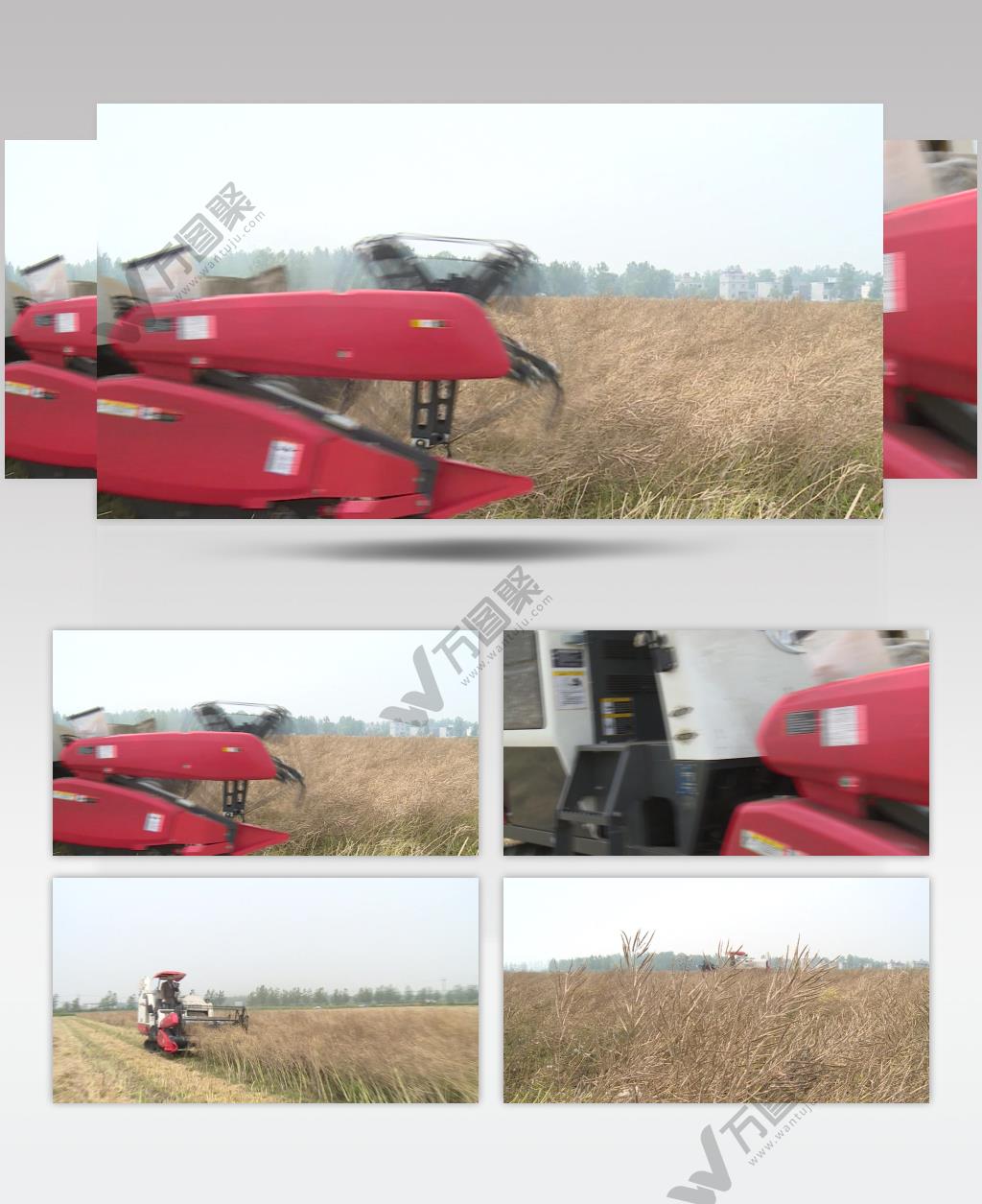 aoao36520161204023522605282813812