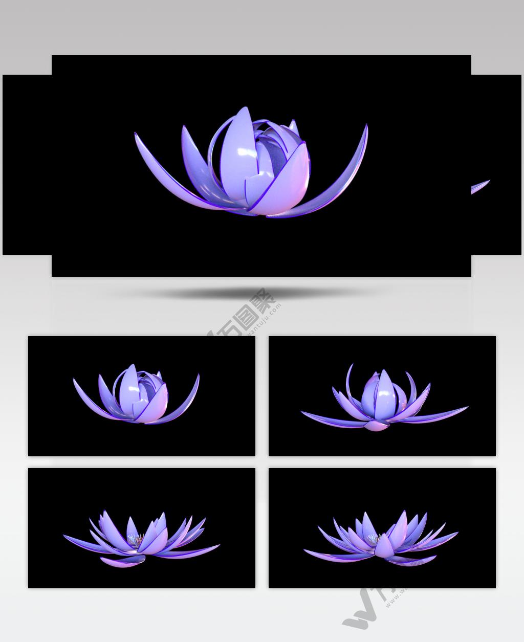 三维花开花瓣盛开花开旋转视频素材