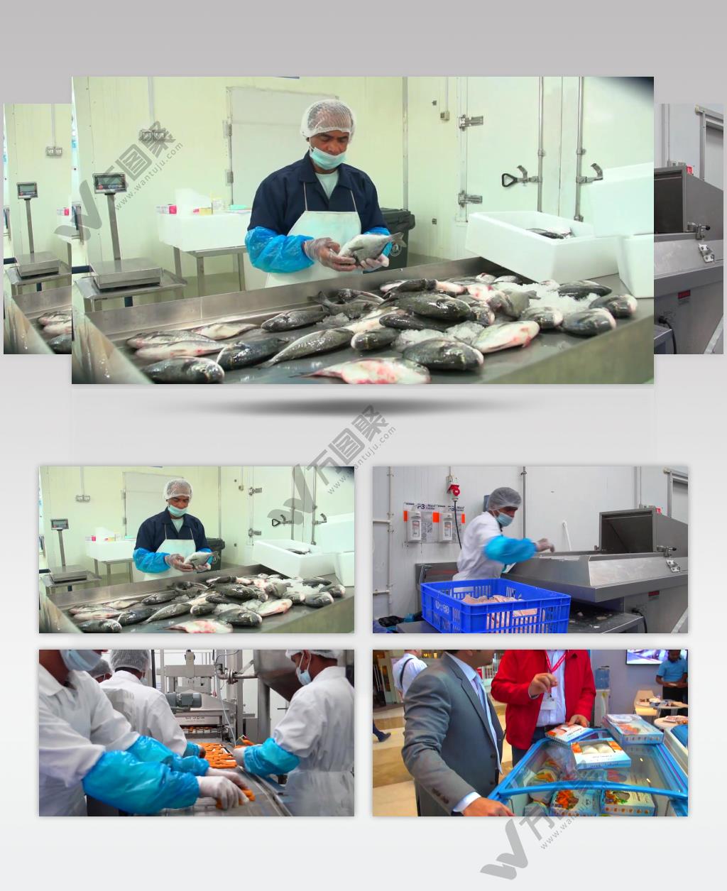 国际 养鱼 水产 加工 企业 宣传片