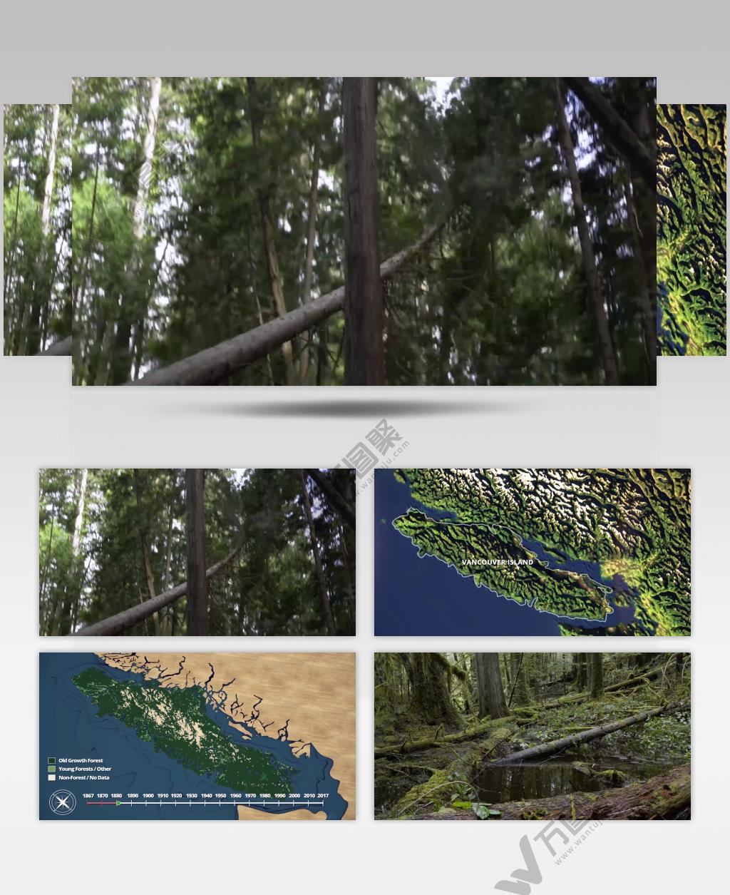 生态危机树木砍伐森林退化绿色环保企业宣传素材