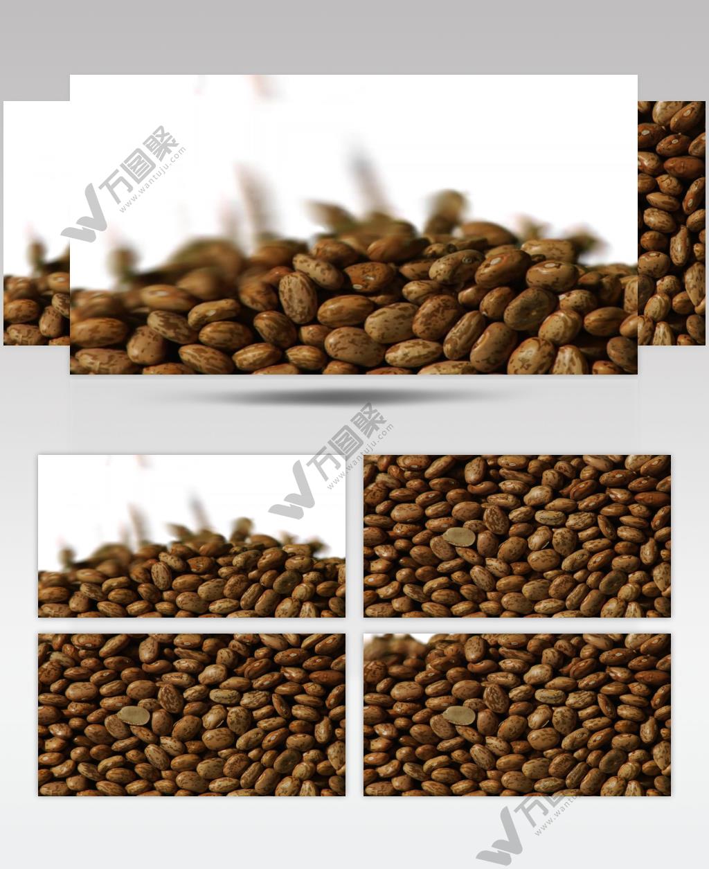 大豆原料豆子食物粮食视频素材