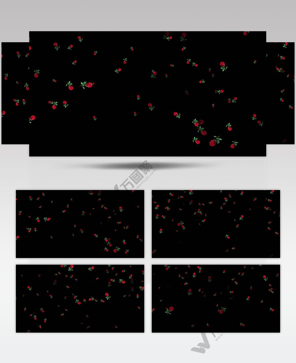 4K红玫瑰花飘落【原创带alpha通道】