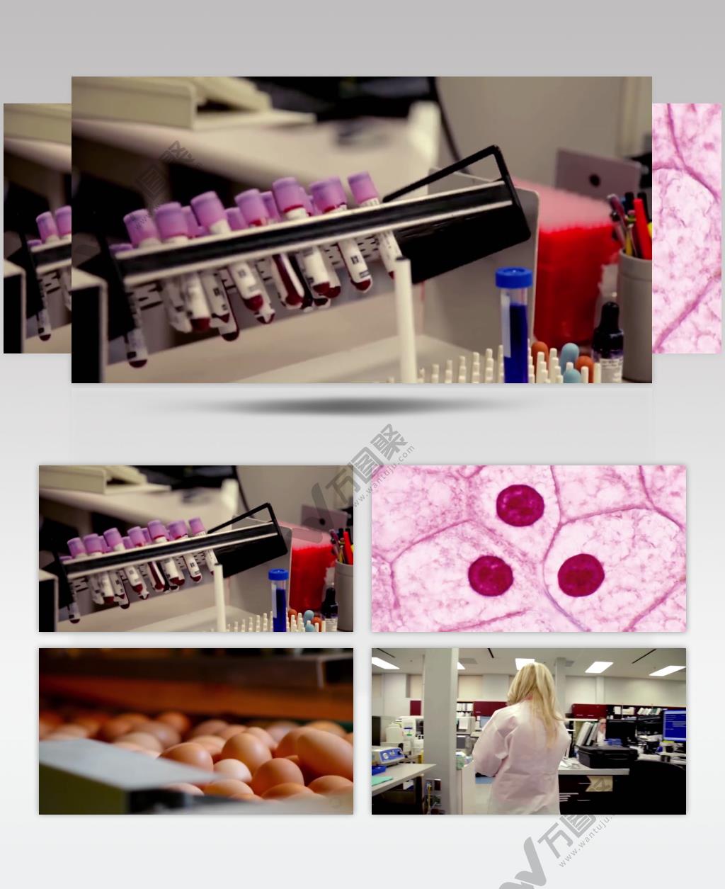 实拍科研实验医学专家医疗科技研发视频素材