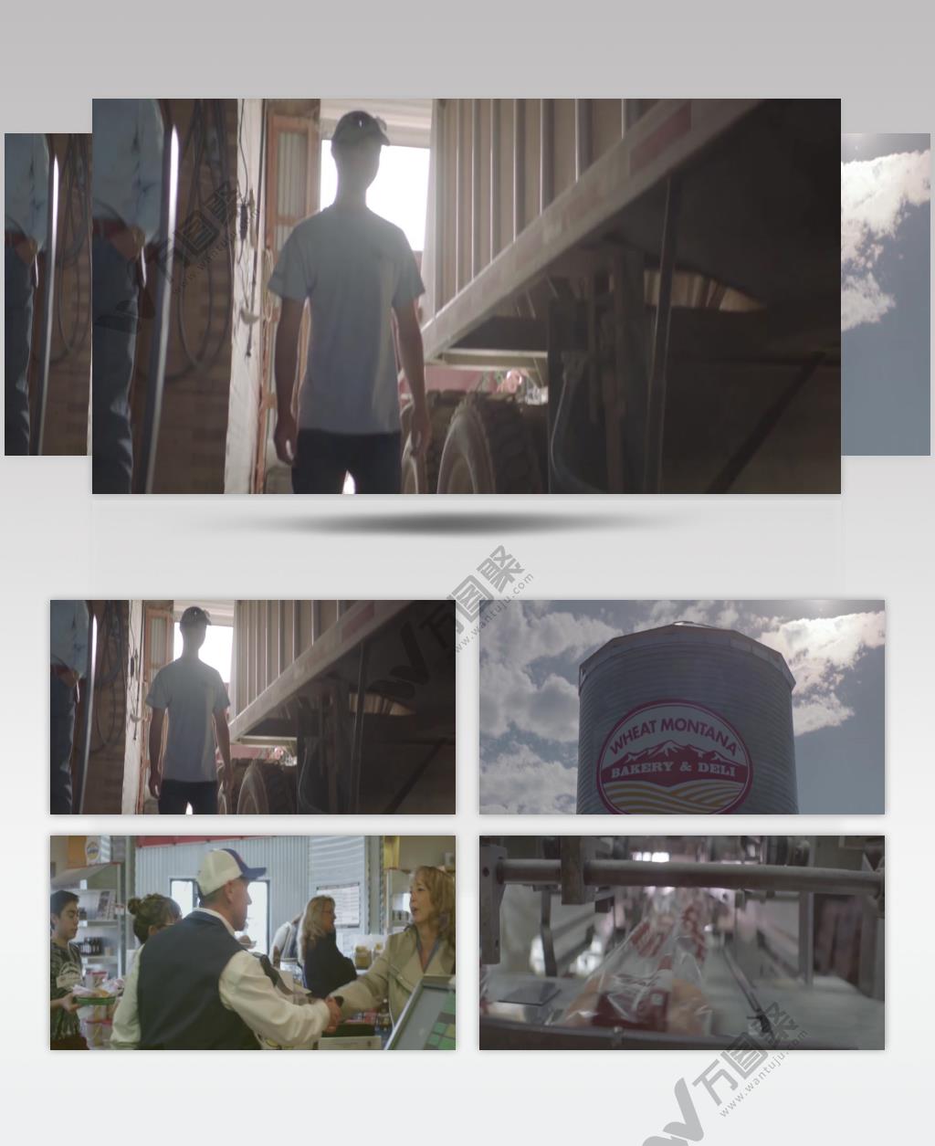 面包生产加工工厂食品生产加工企业视频素材