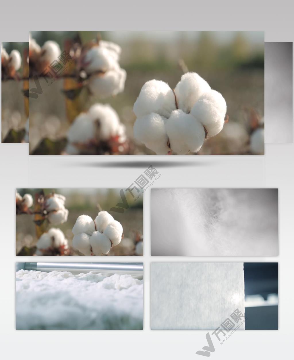 棉花纸巾生产宣传片实拍视频