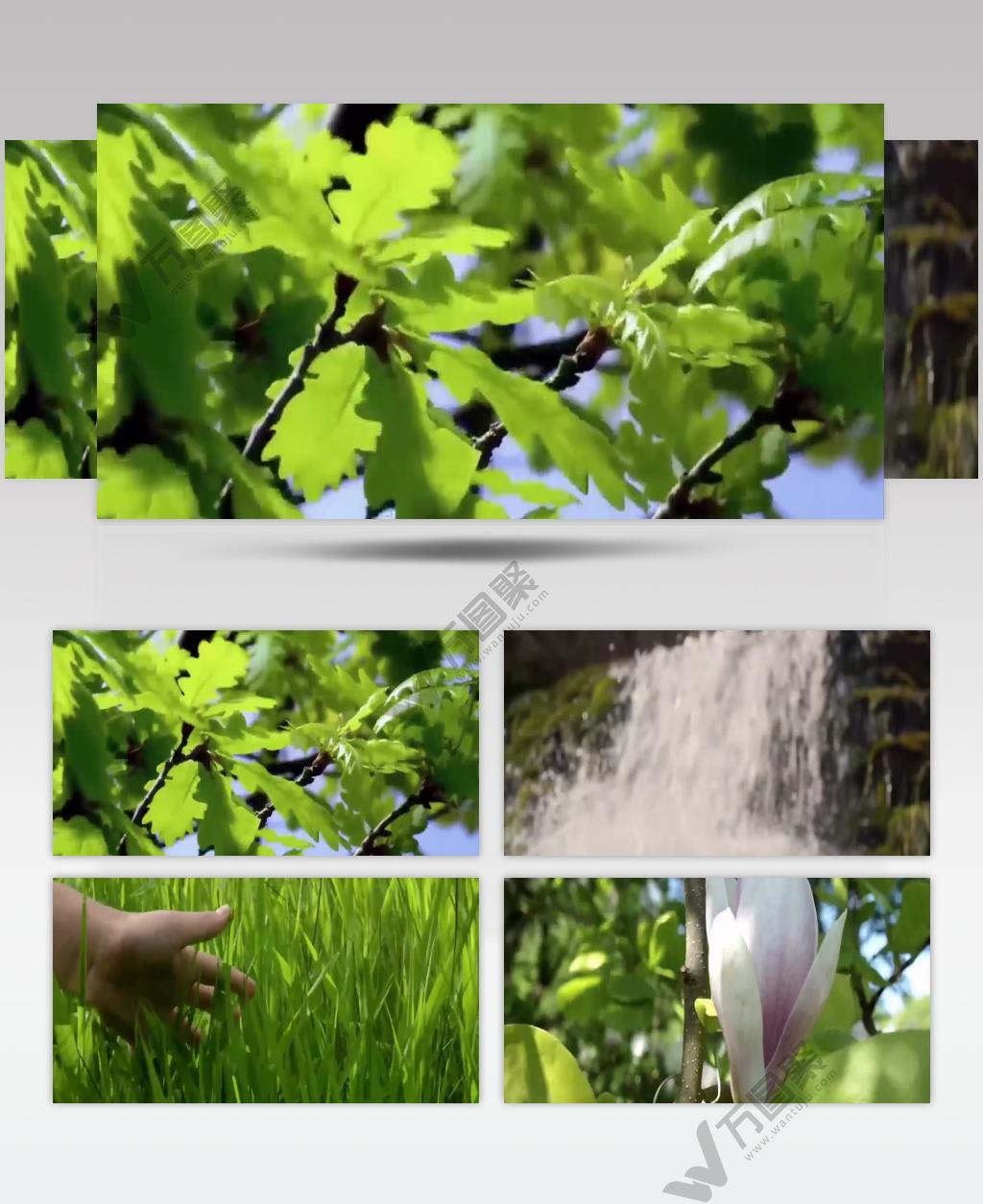 春天万物复苏美女草地奔跑花海天然氧吧大自然延时拍摄