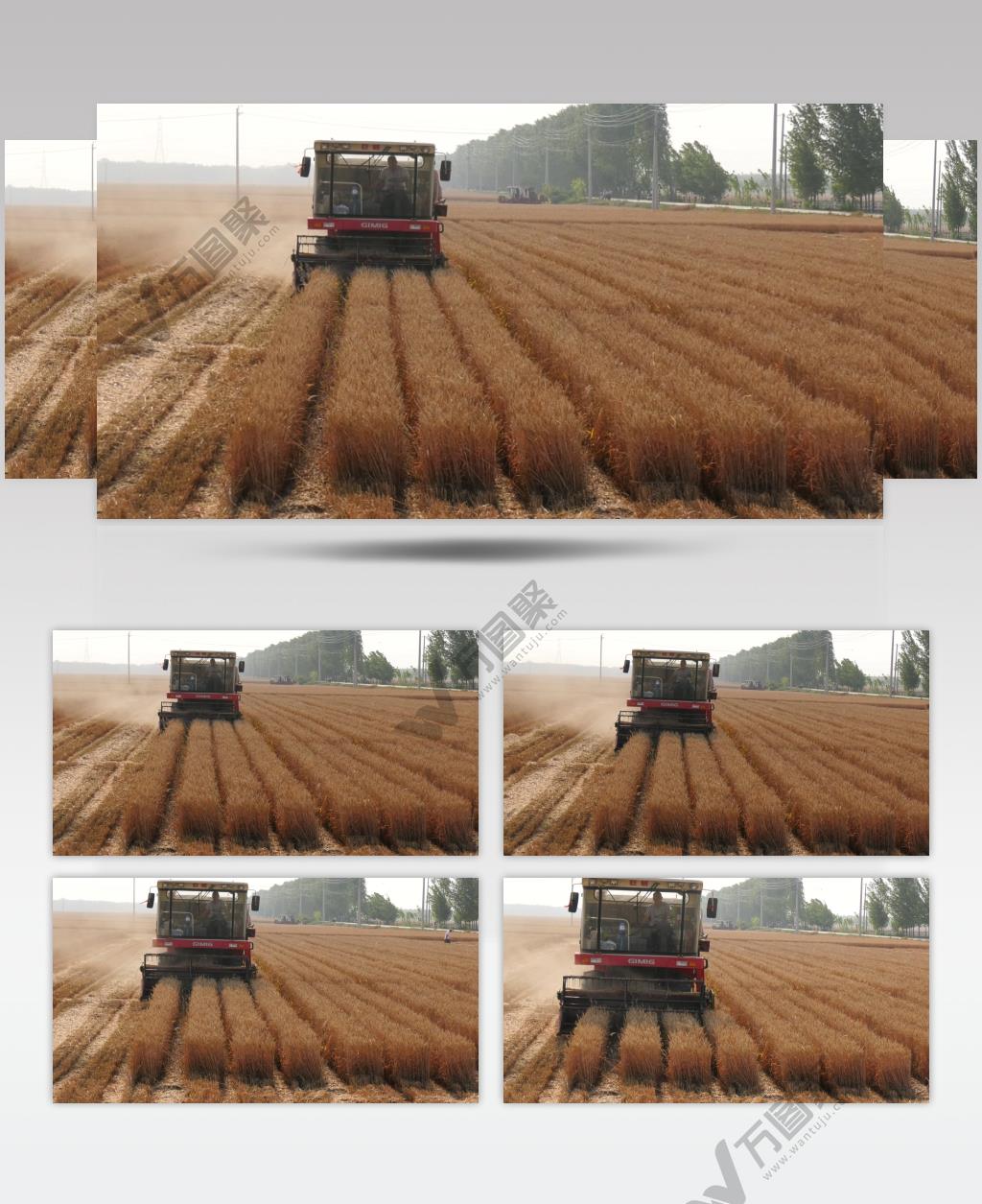 4K实拍收割小麦系列