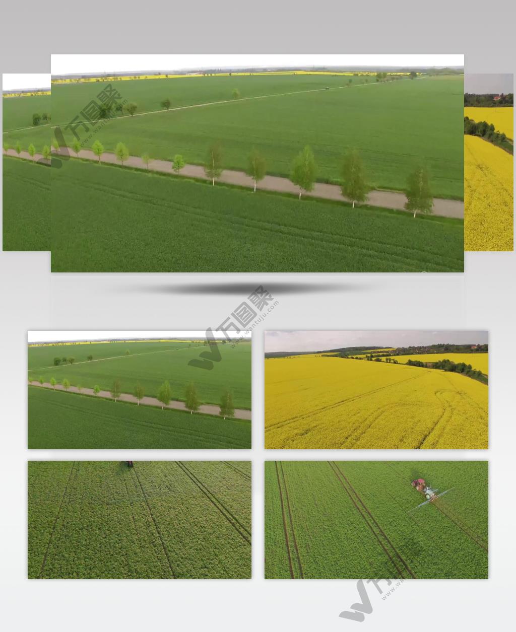 广袤麦田农业收割机现代化农业发展实拍视频素材 (1)
