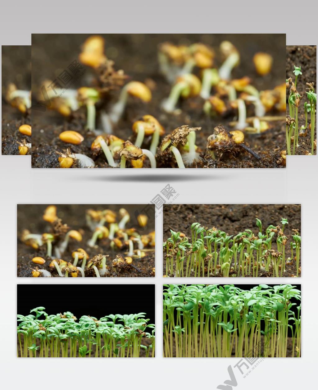 0947f76db923b2819cd5123be8c5aa4b