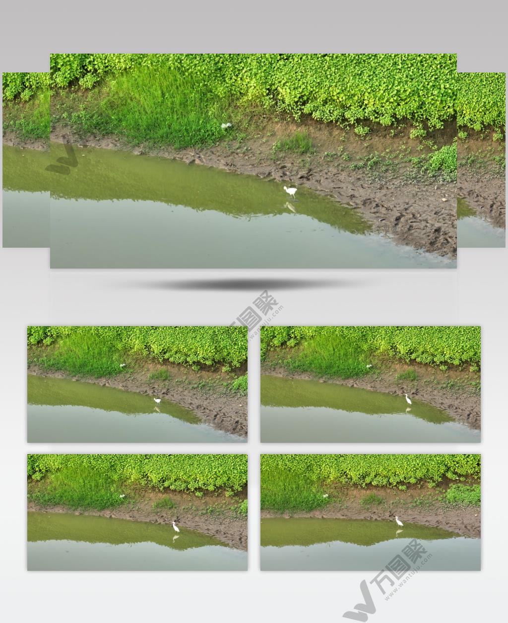 黄河湿地（源素材）DJI_0612