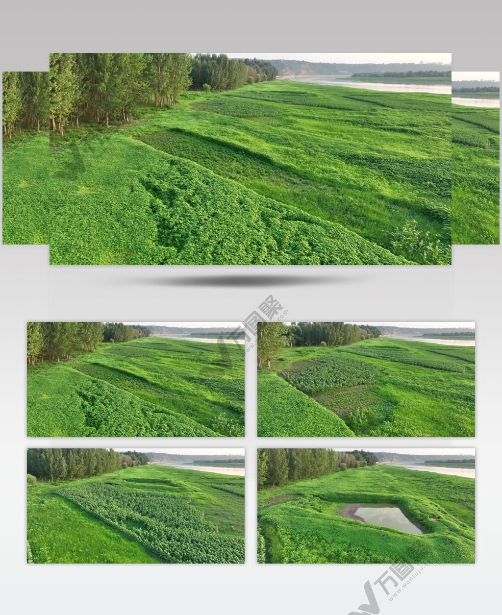 黄河湿地（源素材）DJI_0611