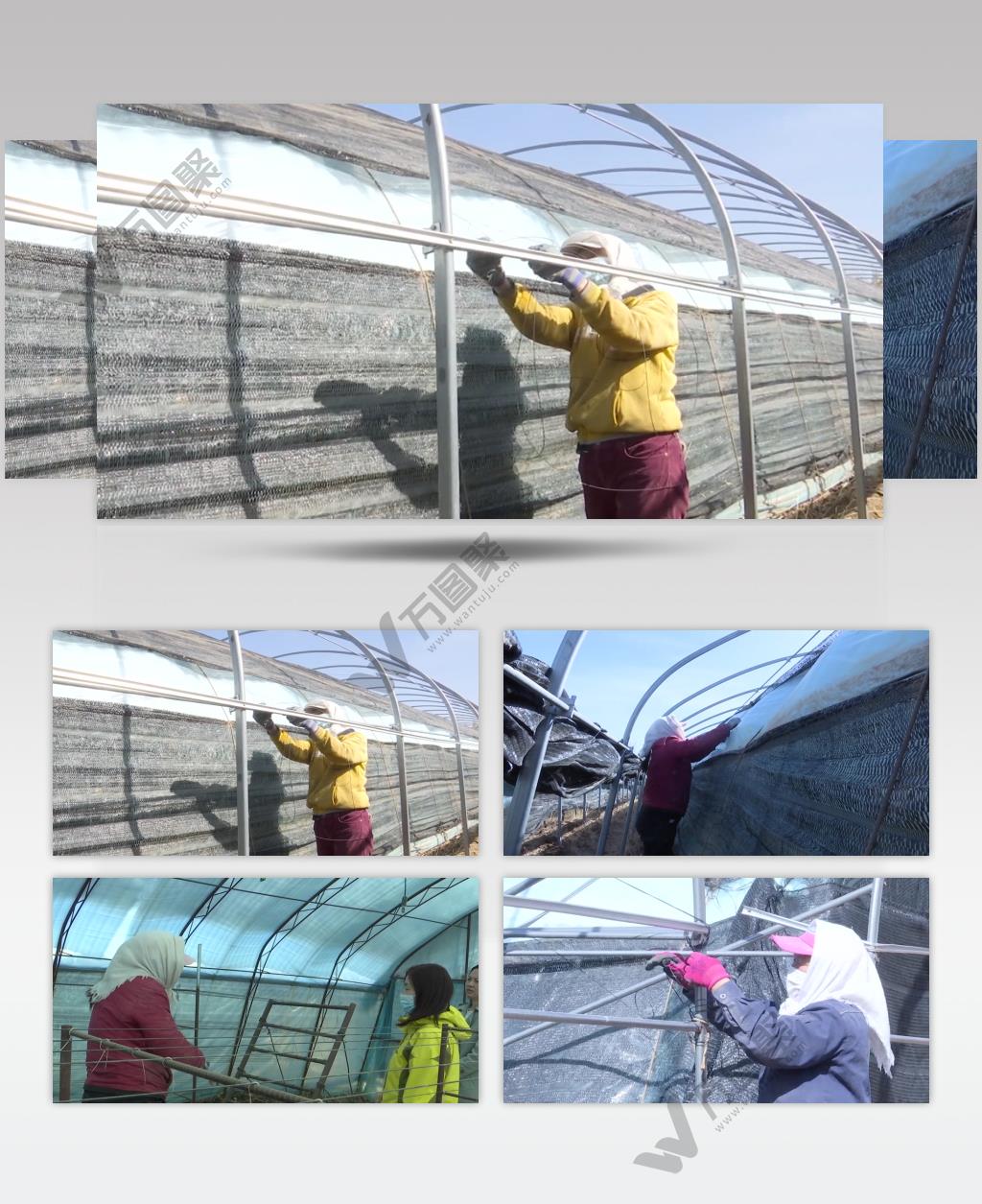 牧民加固养殖冷棚准备过冬