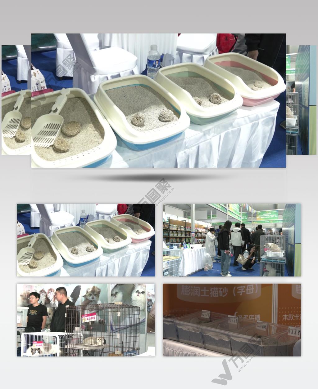 宠物用品产业博览会猫砂猫粮