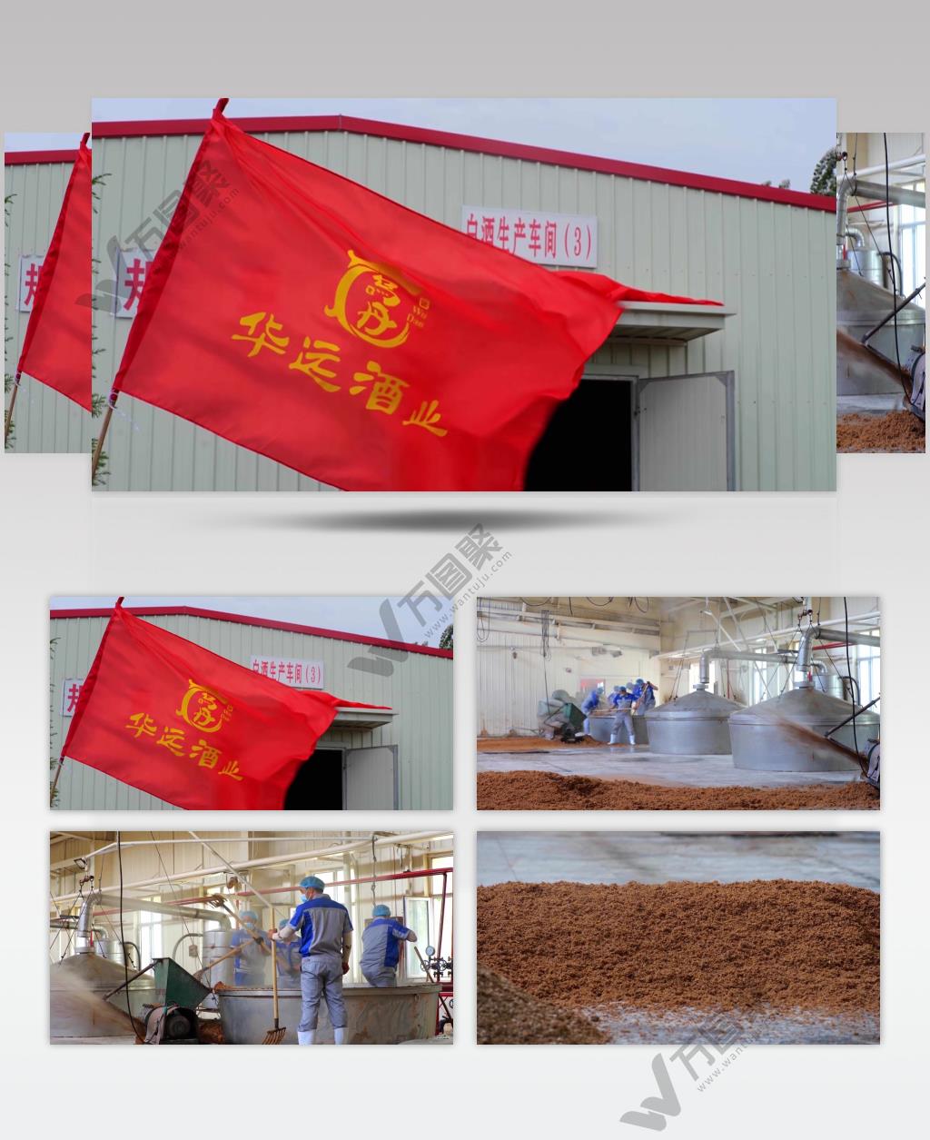 白酒酿造车间固态法酿酒酒糟