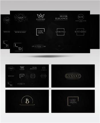 16801 优雅豪华婚礼标题展示