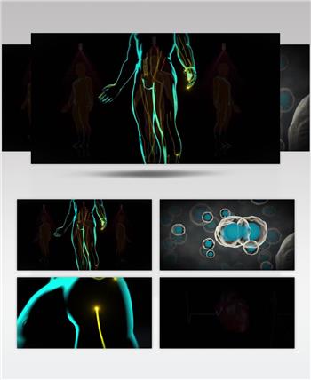 人体脉络细胞生长