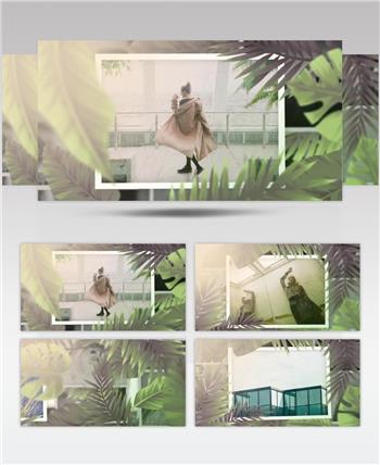 AE 15943 热带植物衬托幻灯片 ae素材源文件