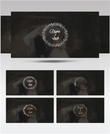 AE 16200 结婚标题展示 ae素材源文件