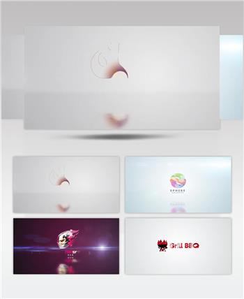 AE 16706 简洁多层标志包