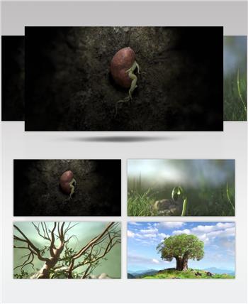 种子发芽生长变化力量